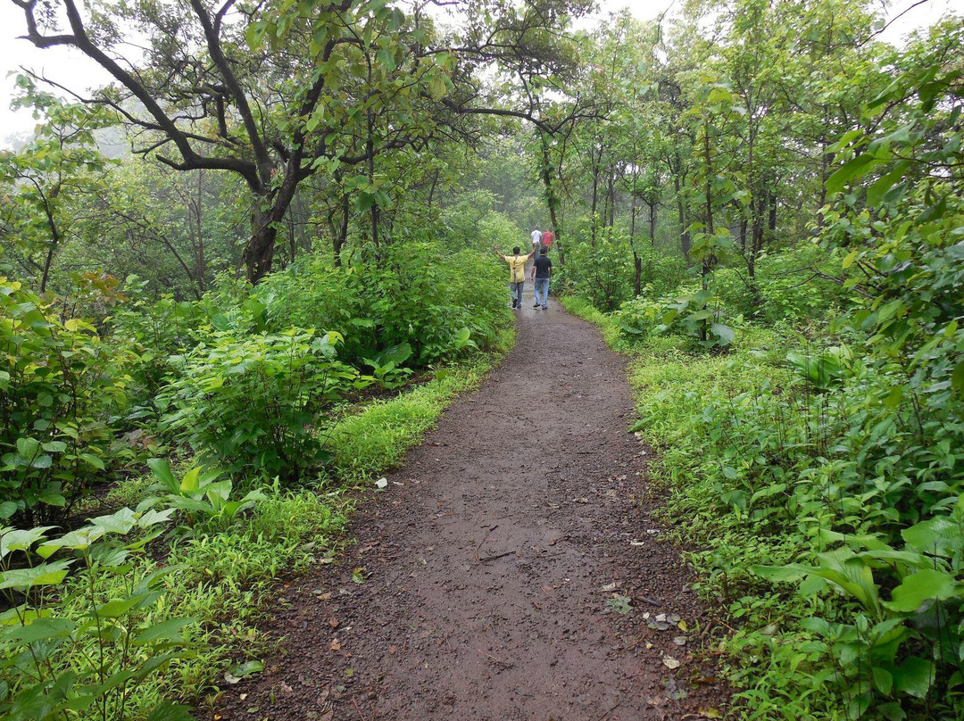 Karnala Bird Sanctuary景点图片