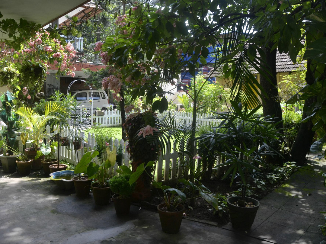 Ayurville - Ayurvedic Treatment & Spa-Fort Kochi必去景点