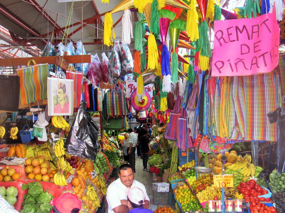 mercado de artesanias  lucas Balderas-圣米格尔护城必去景点