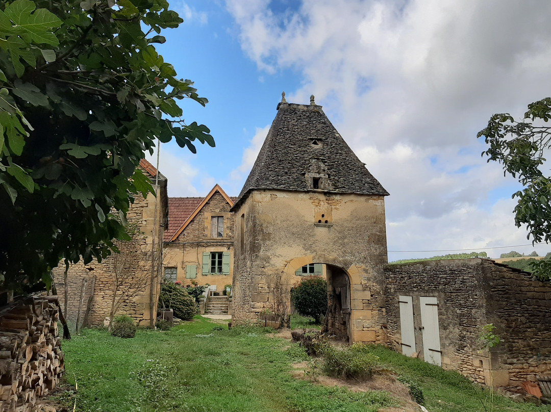 Le four-pigeonnier-porche du Petit Salignac景点图片