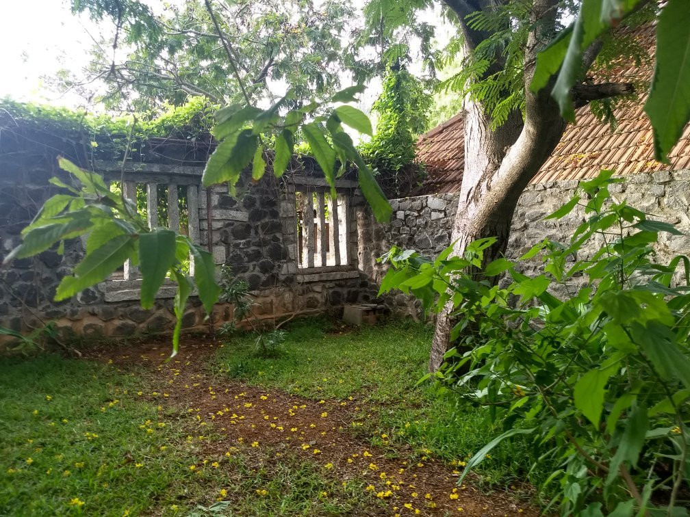 Muttukadu旅游攻略图片
