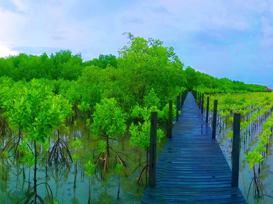 那艾安旅游景点-Tung Prong Thong