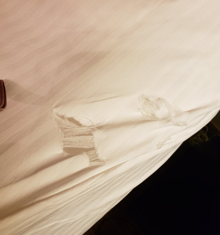 Best Western Plus Monica Royale Inn & Suites主图