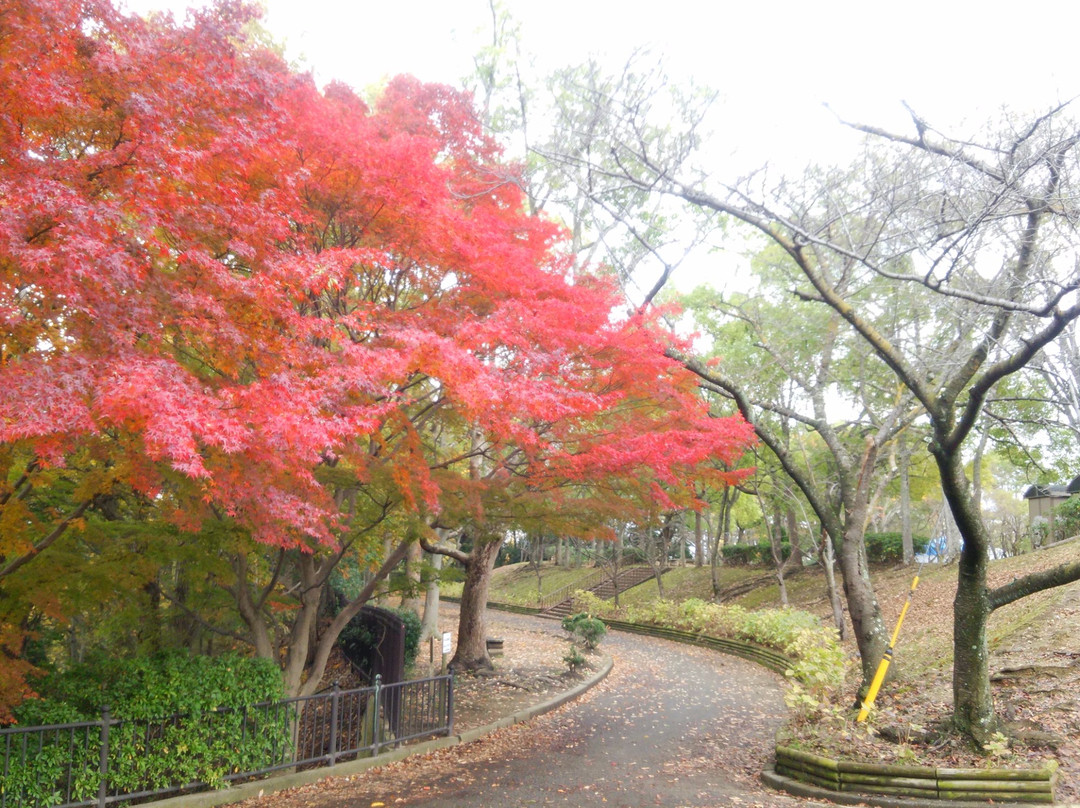 Teragaike Park景点图片