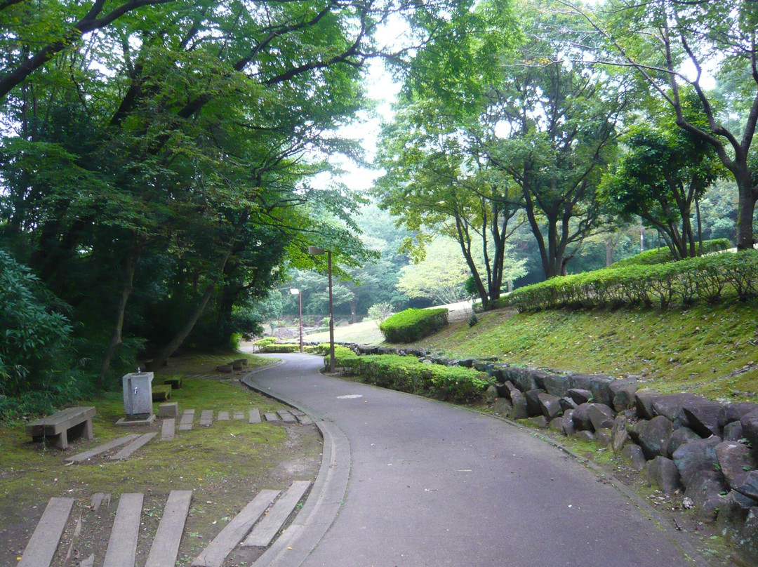 Ozenji Furusato Park景点图片