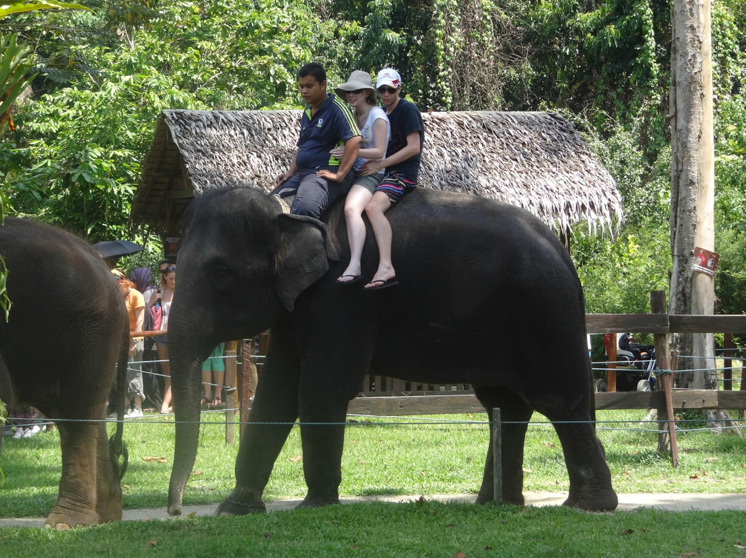 Kuala Lumpur Private Tours Specialist-加影必去景点