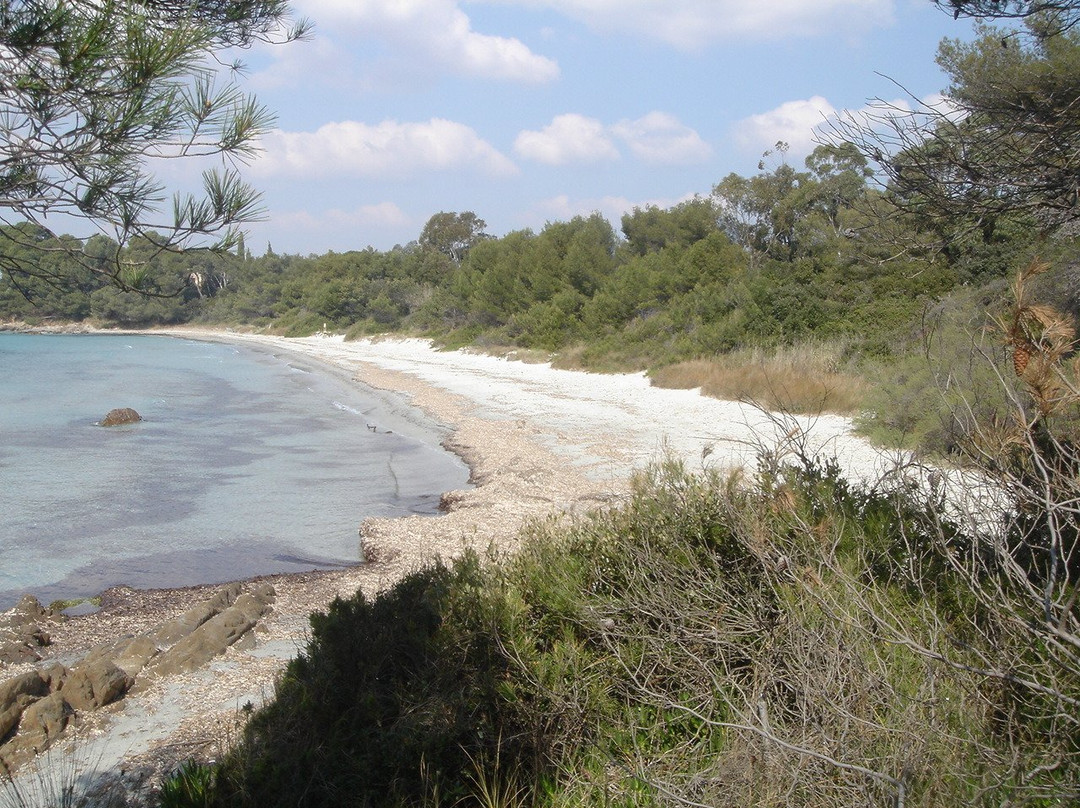 Plage de la Mère Dieu景点图片