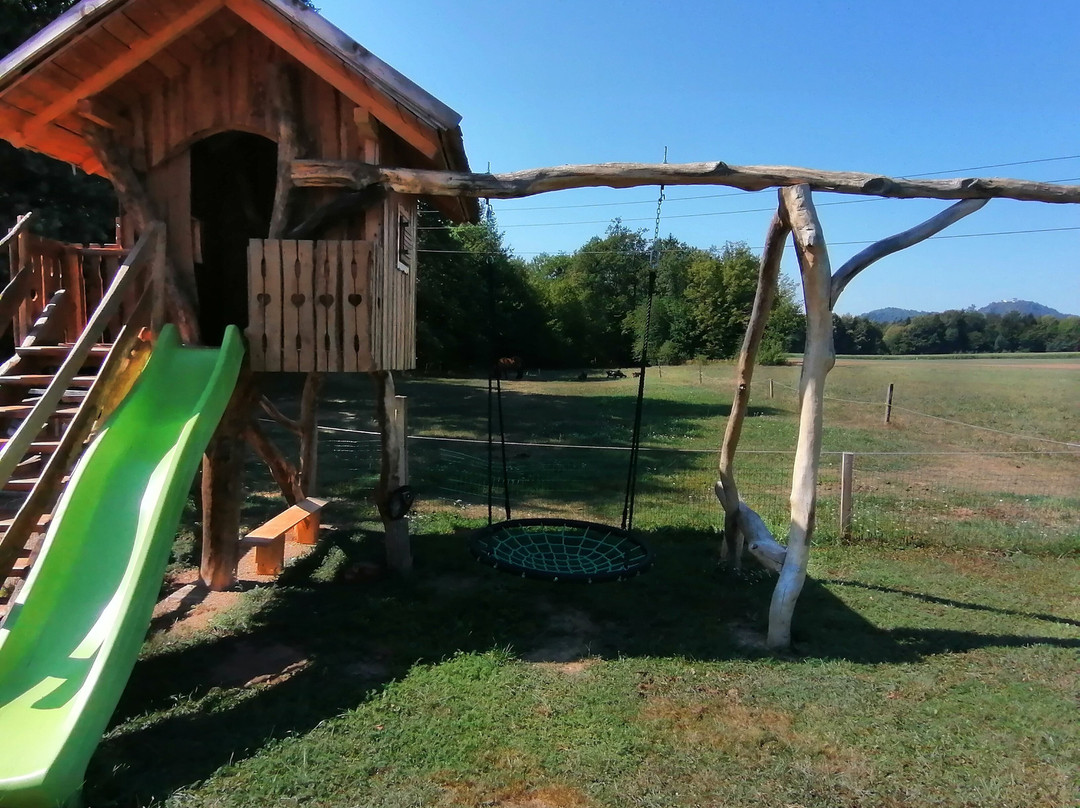 Bio Farm At Smajd