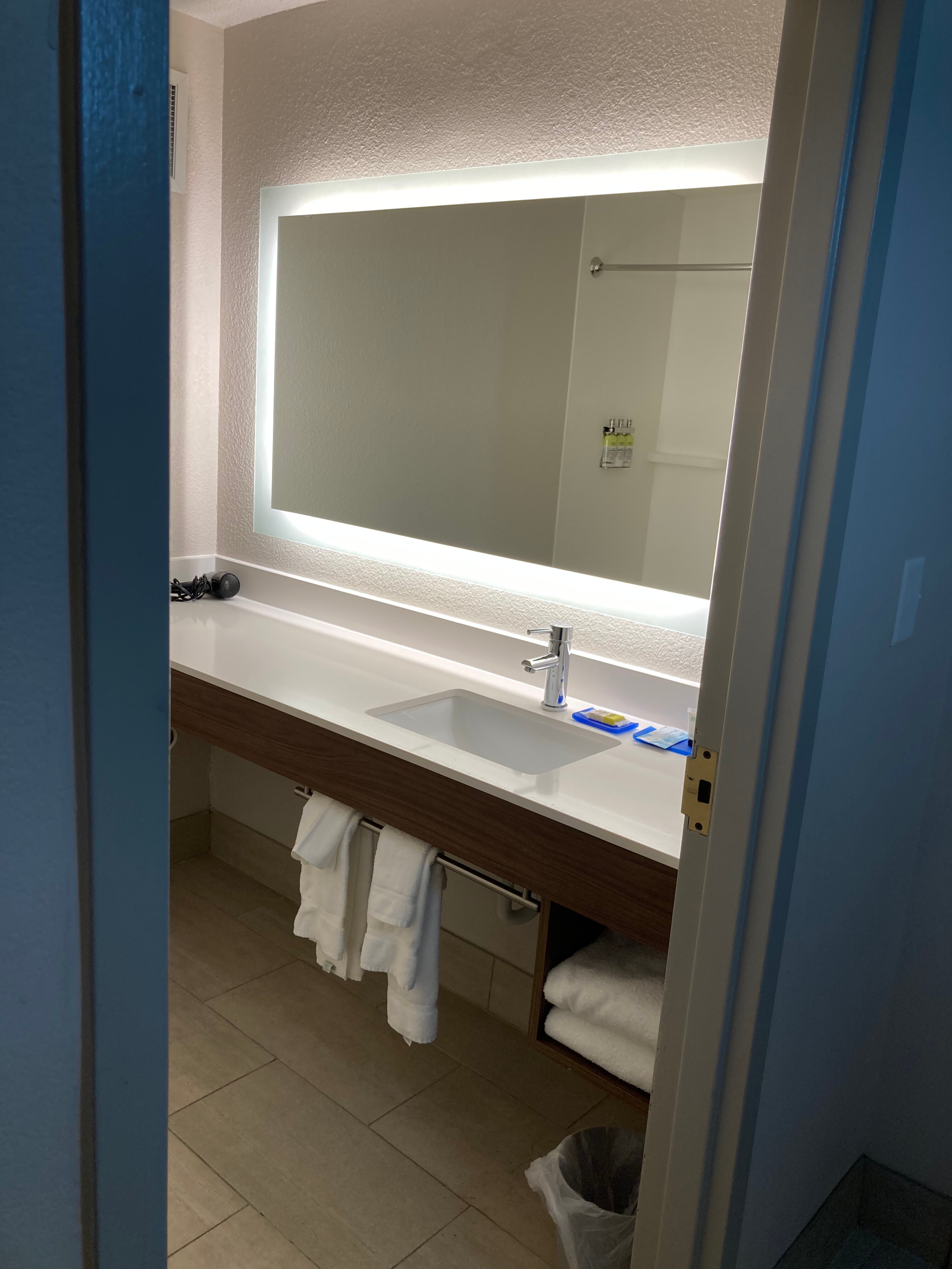 Holiday Inn Express & Suites Byron by IHG-浴室