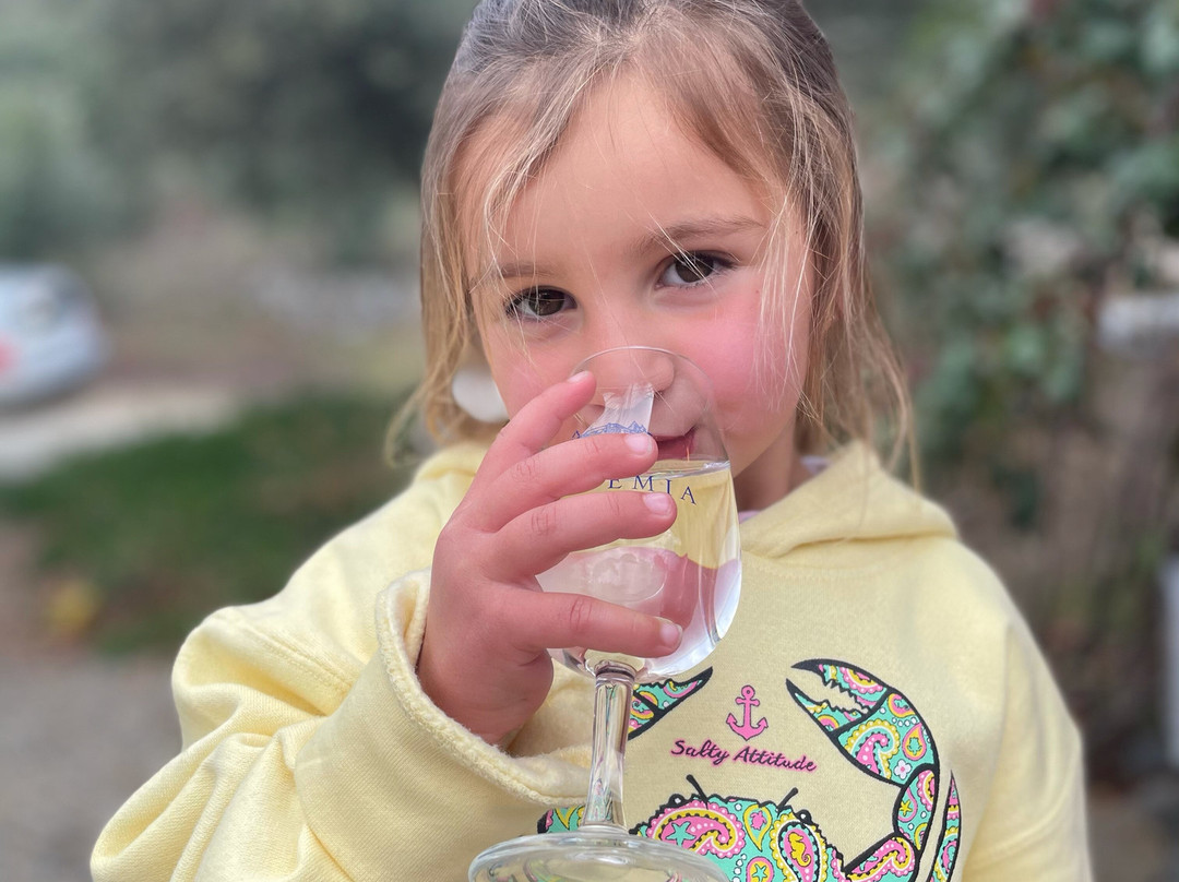 Vindemia Estate Winery-特曼库拉必去景点