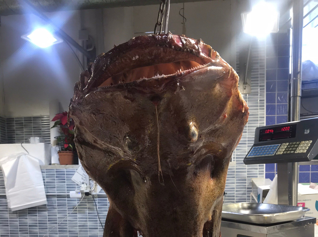 Mercato Rionale di Is Mirrionis-卡利亚里省必去景点