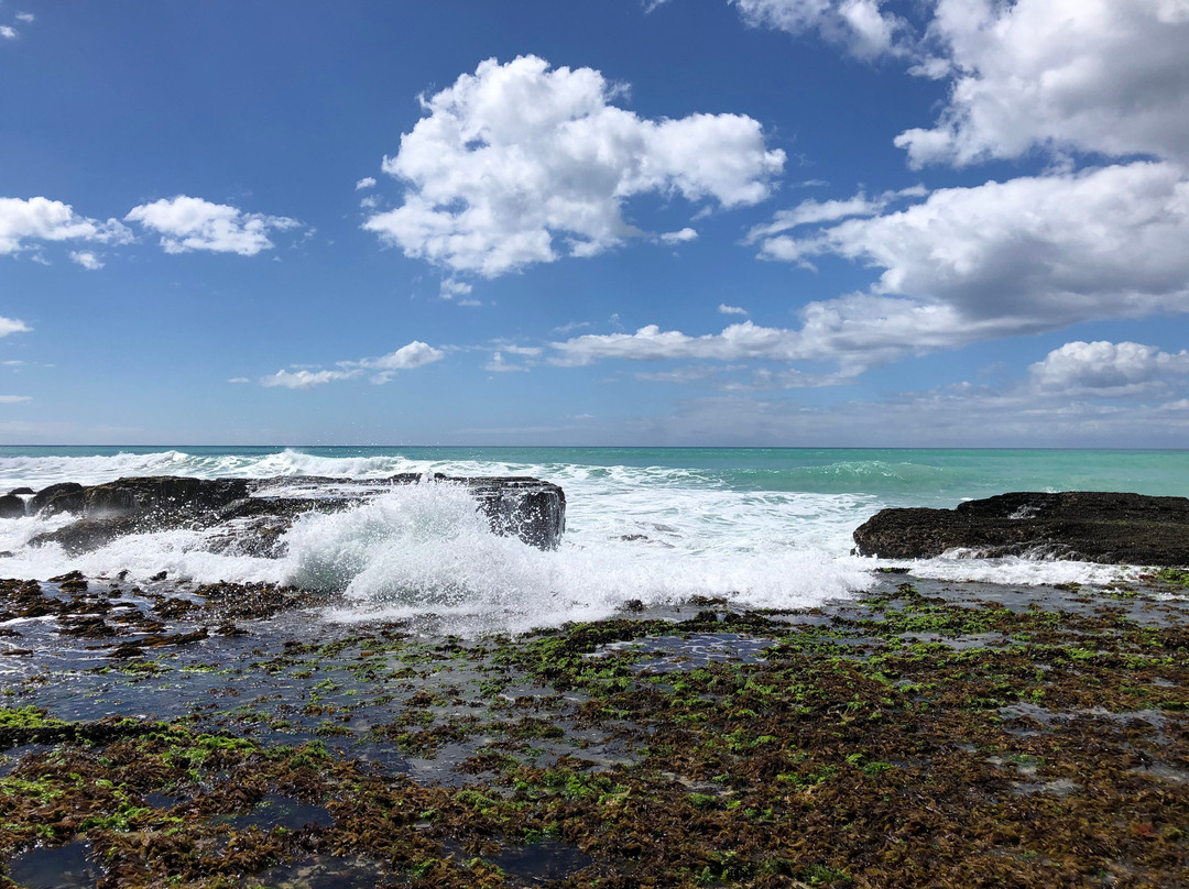 De Hoop Collection主图