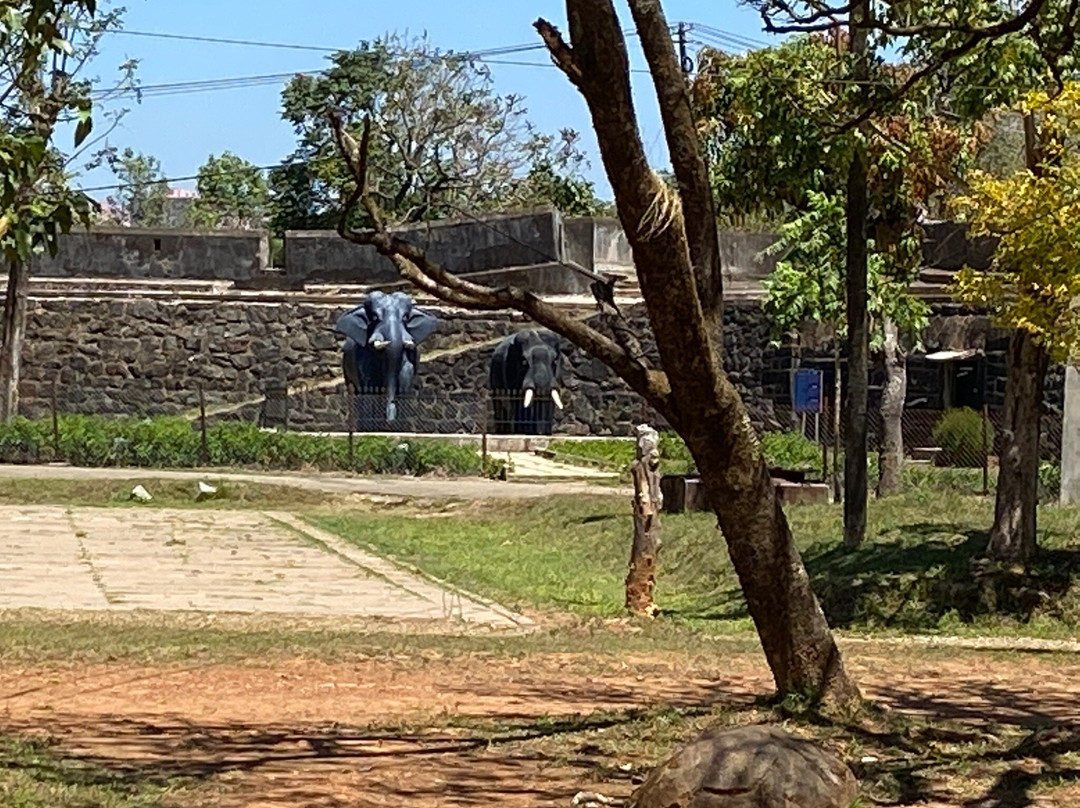 Madikeri Fort景点图片