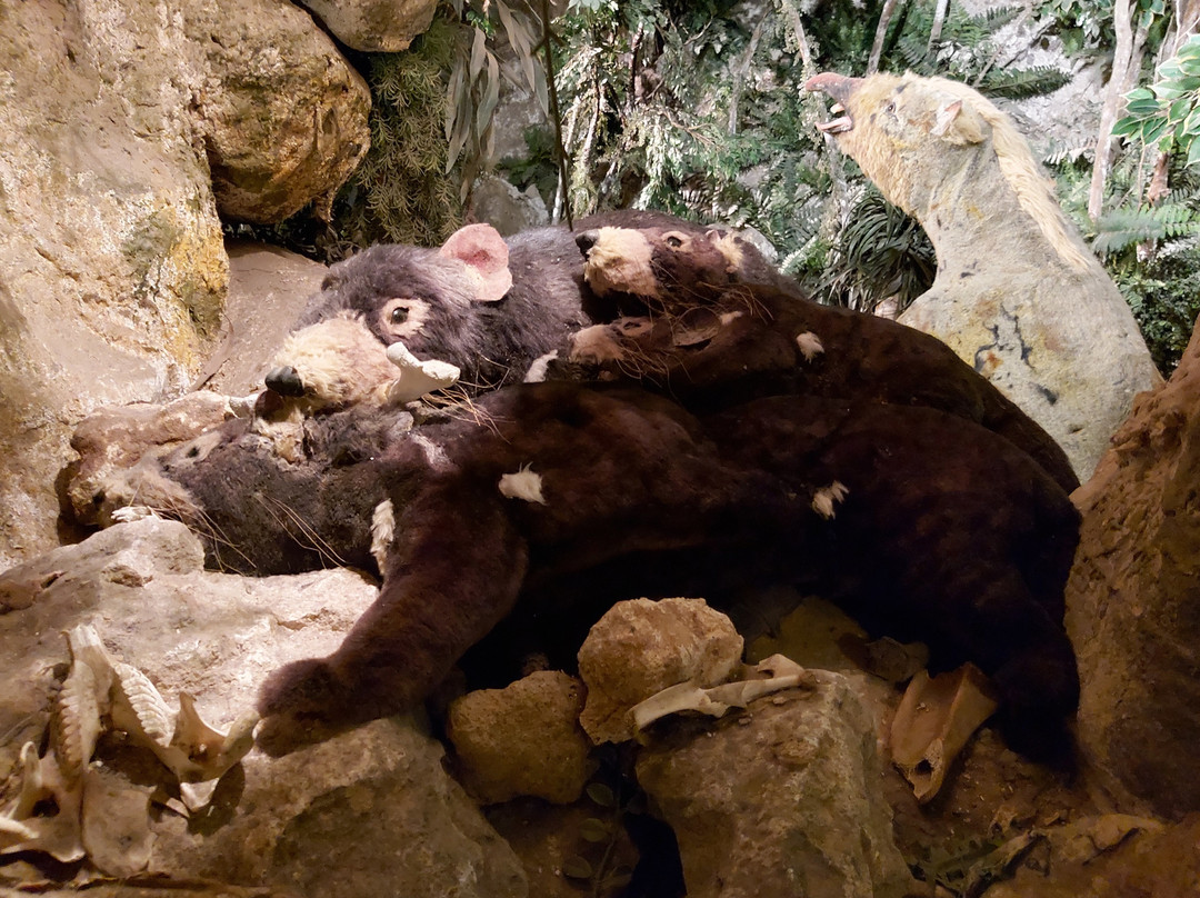 Wonambi Fossil Centre-Naracoorte必去景点