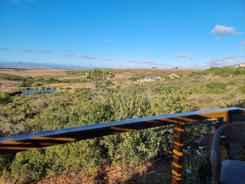 Garden Route Game Lodge Day Safaris-阿尔贝蒂娜必去景点