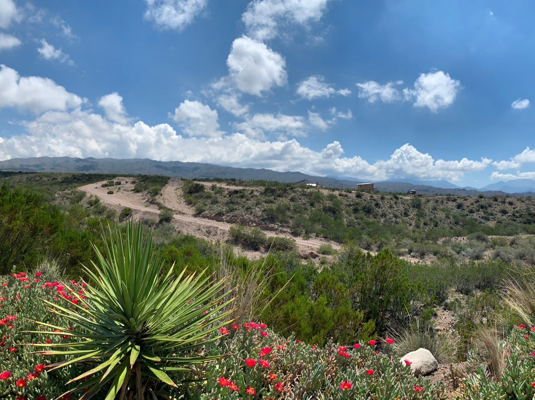 El Origen de i-Potrerillos必去景点