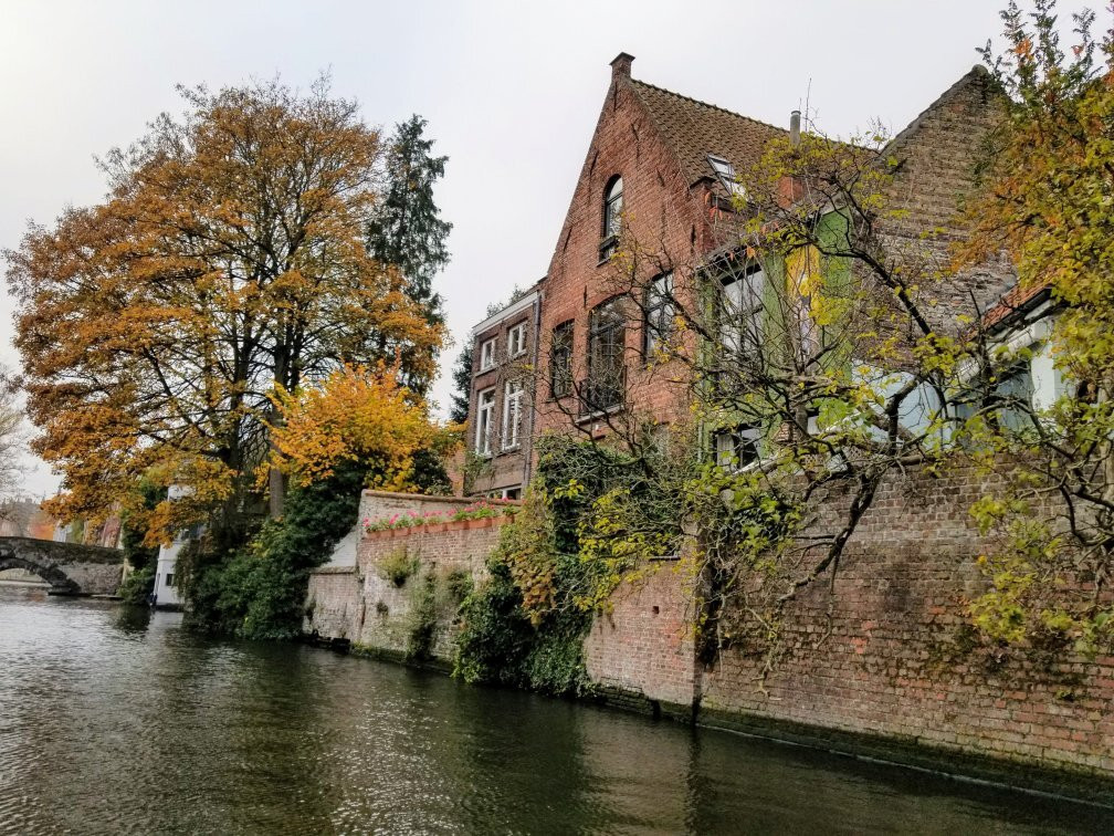 Canal Trip Bruges-Damme景点图片