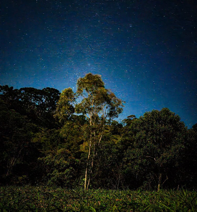 Pousada Caminho Do Escorrega主图