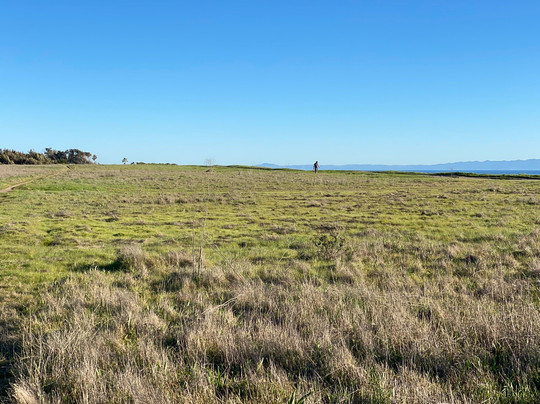 Coronado Butterfly Preserve-戈利塔必去景点