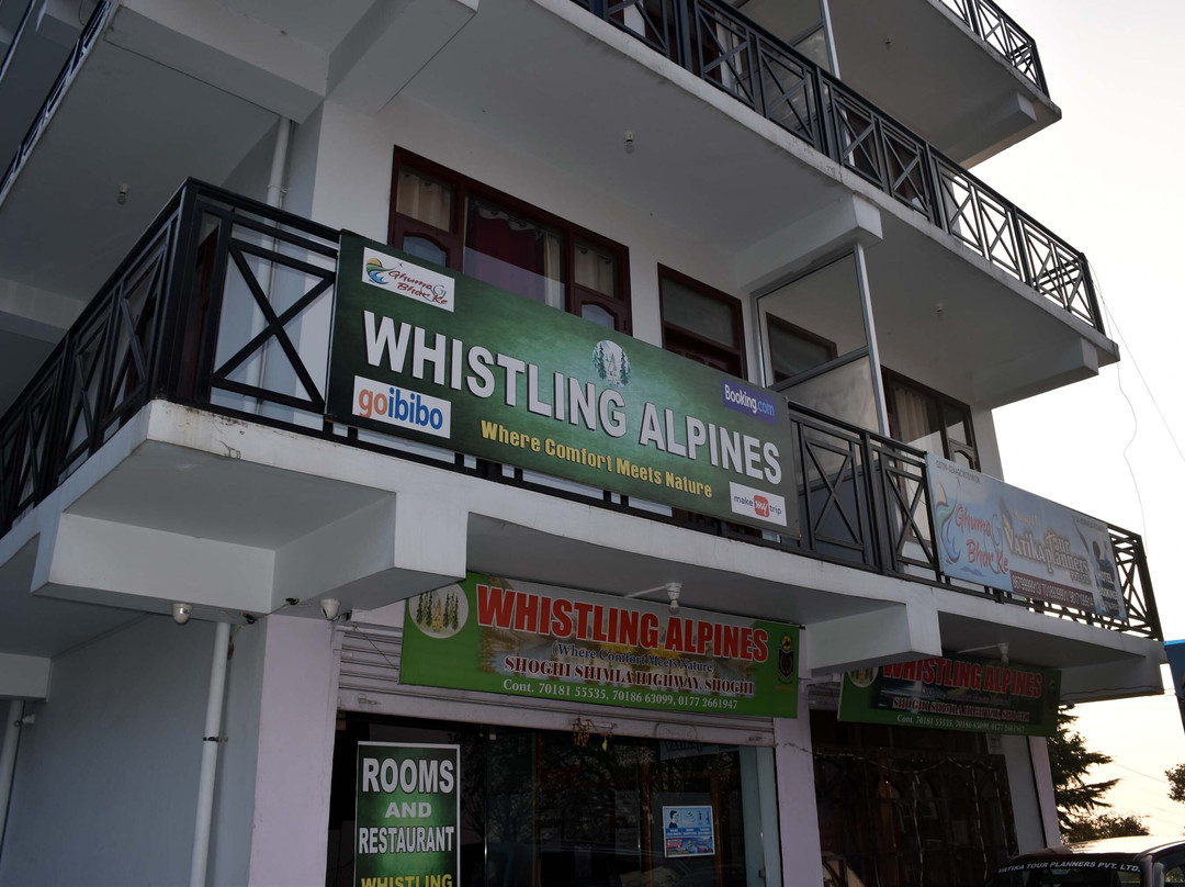 Whistling Alpines主图