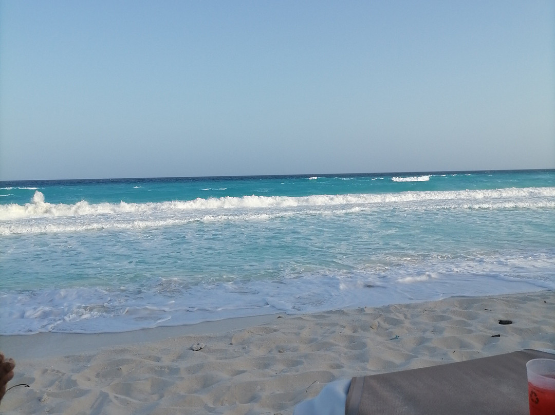 火烈鸟酒店主图