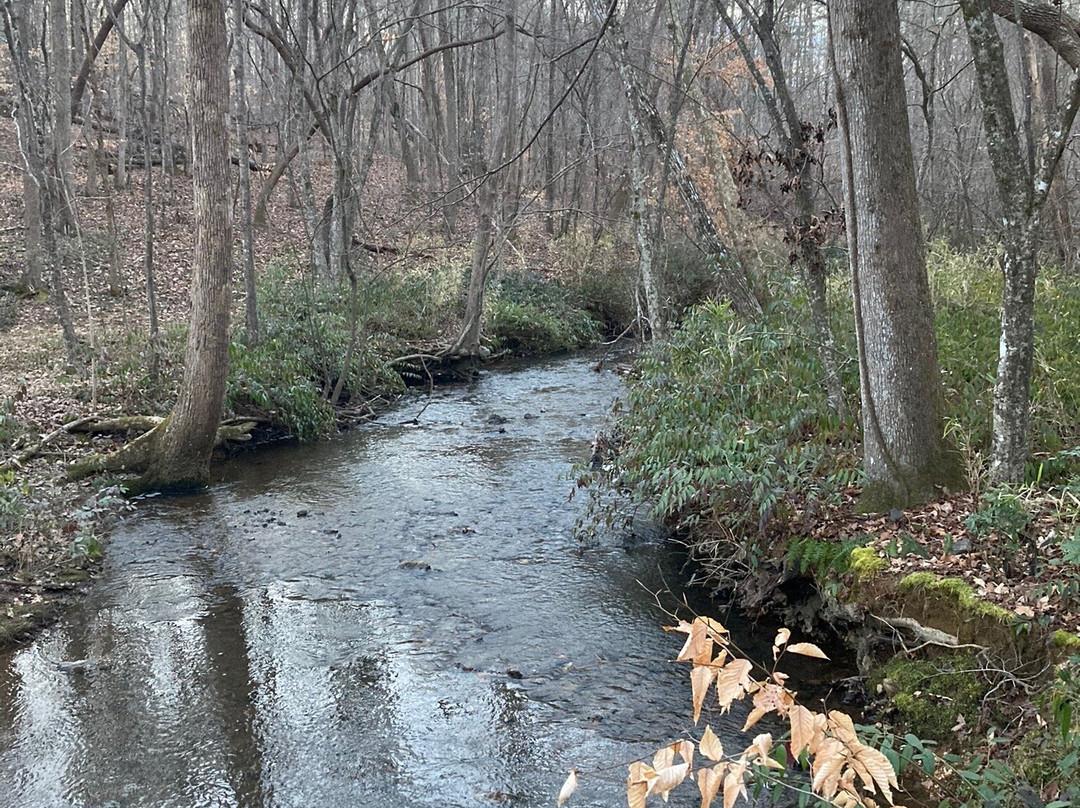 Kings Mountain State Park-Blacksburg必去景点