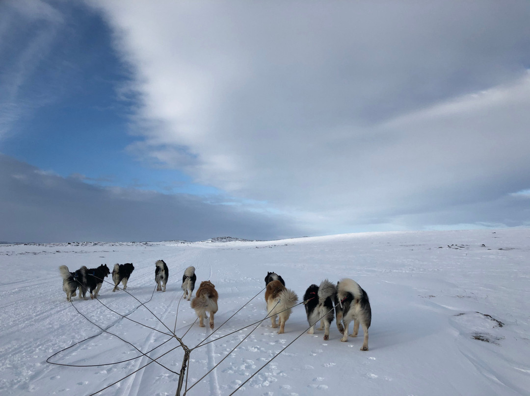 Inukpak Outfitting-Iqaluit必去景点