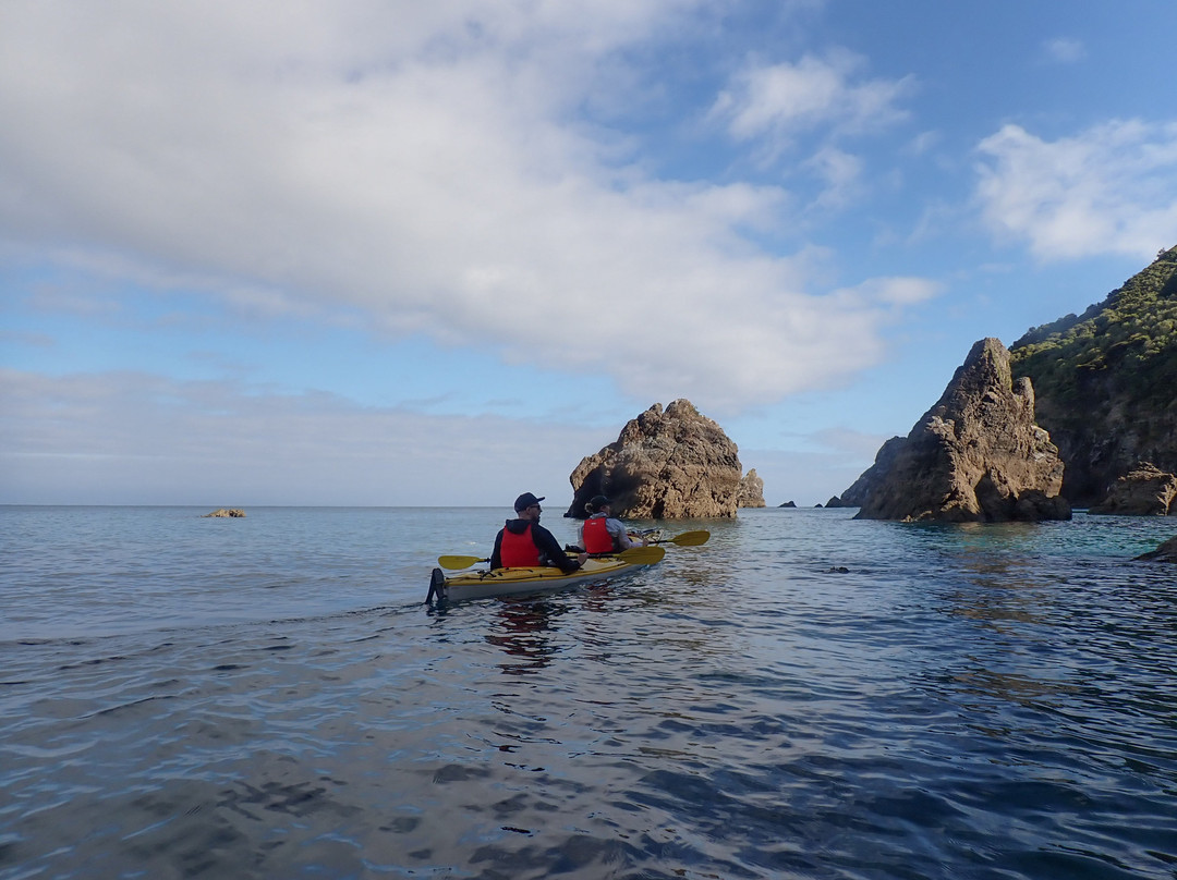Cable Bay Kayaks-尼尔森必去景点