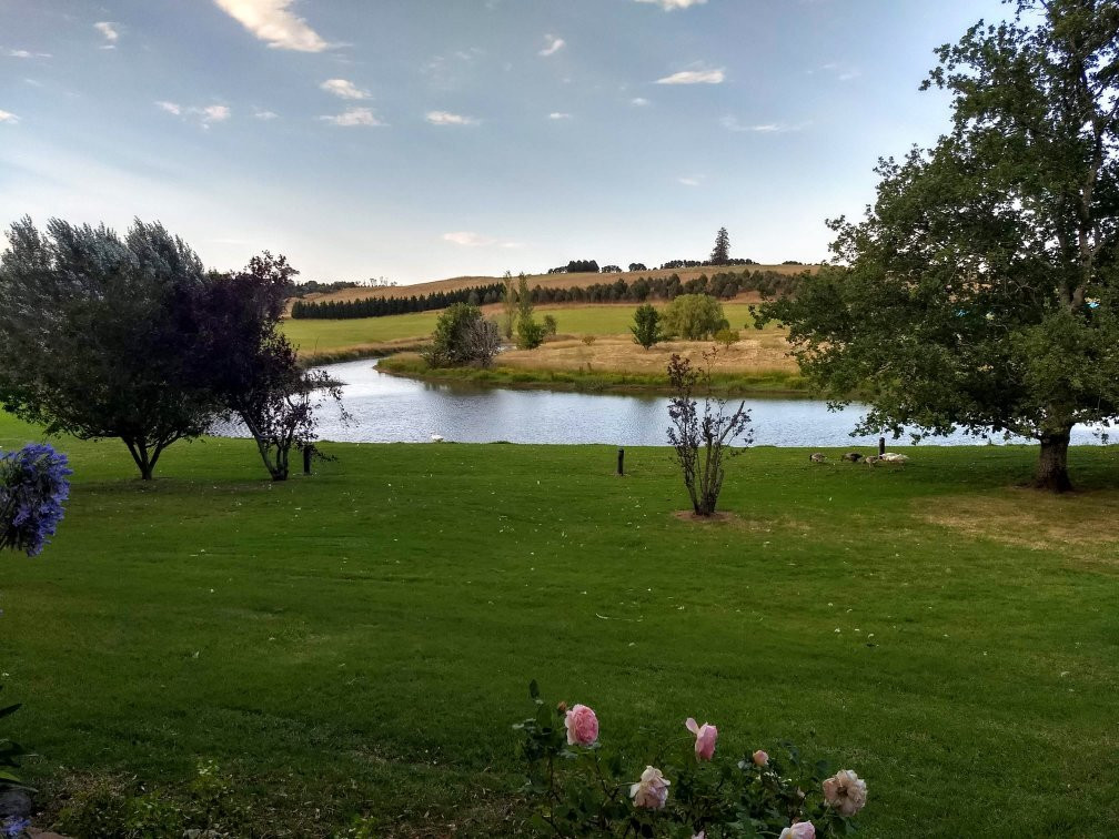 易菱森林葡萄园和酿酒厂-Sutton Forest必去景点