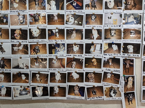 Cape Naturaliste Vineyard-雅林角必去景点