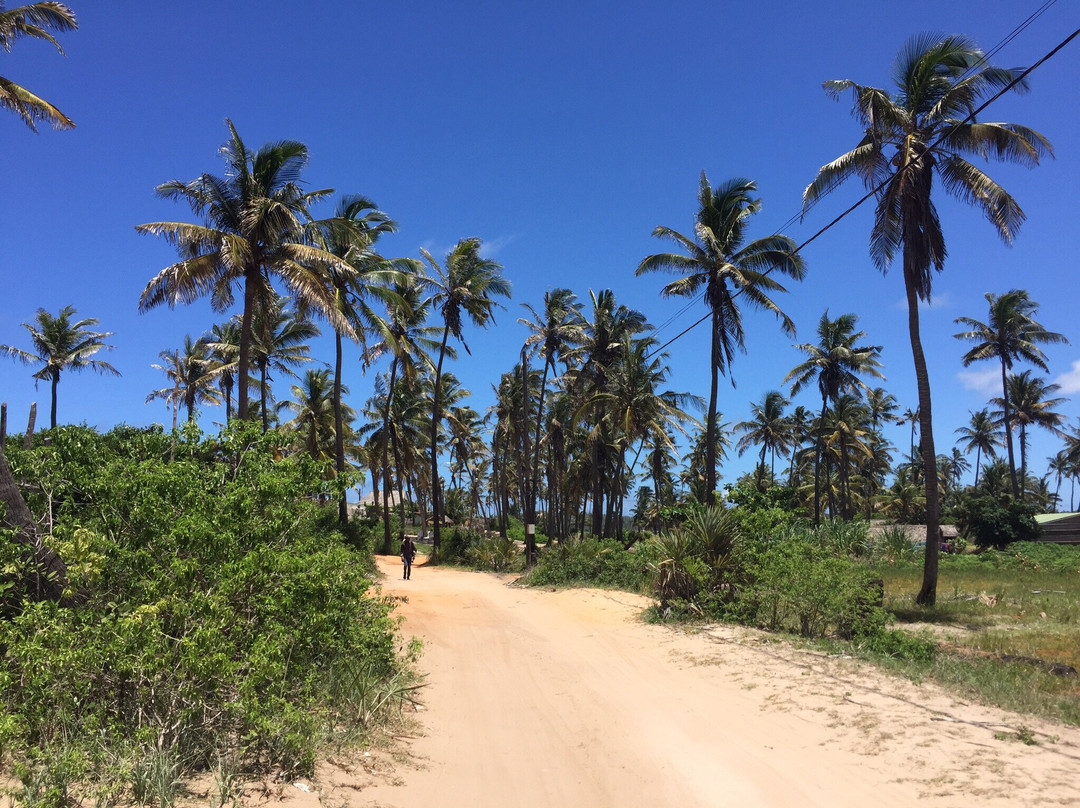Diversity Scuba Tofo-托佛必去景点