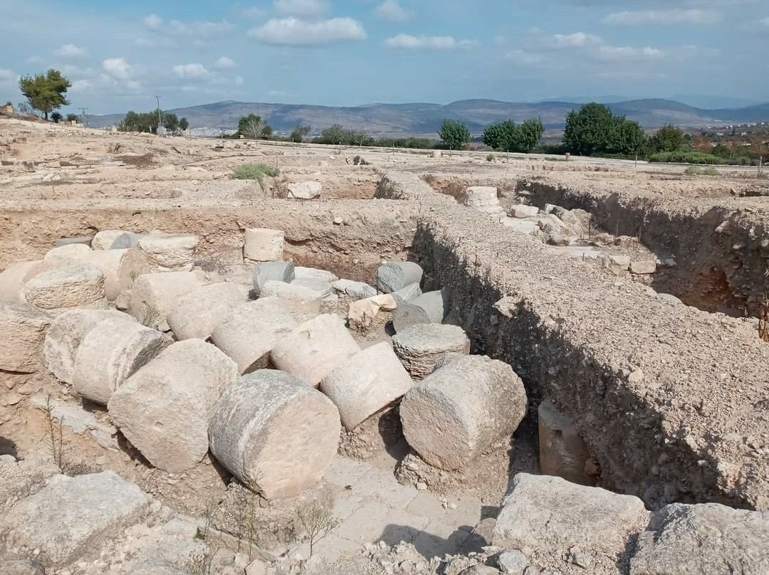 Zippori National Park-Zippori必去景点