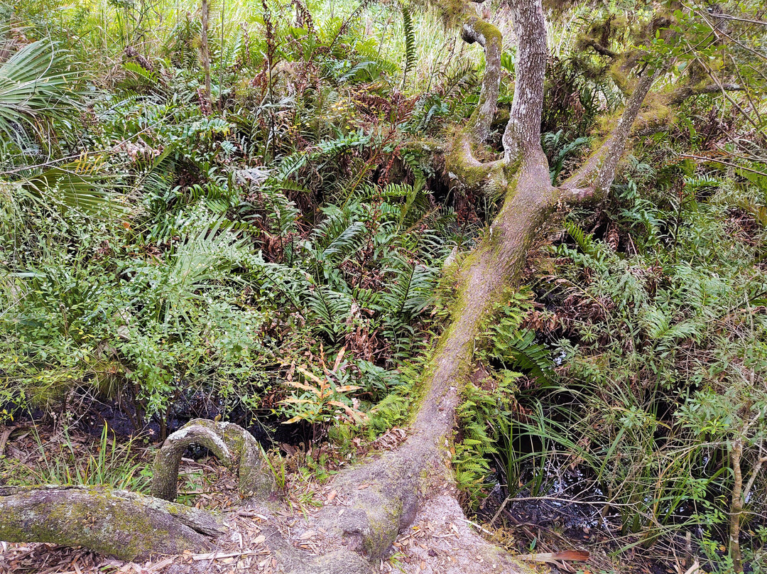 LaBelle Nature Park景点图片