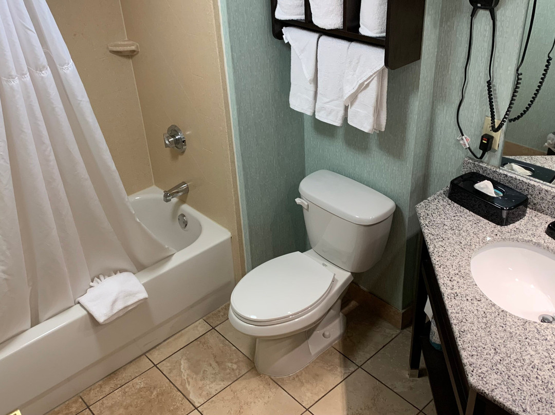 Hampton Inn & Suites Kokomo主图
