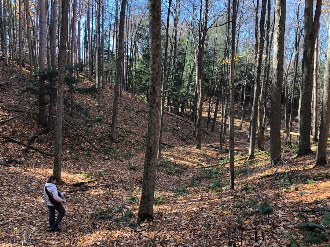 塔楼温泉度假村主图