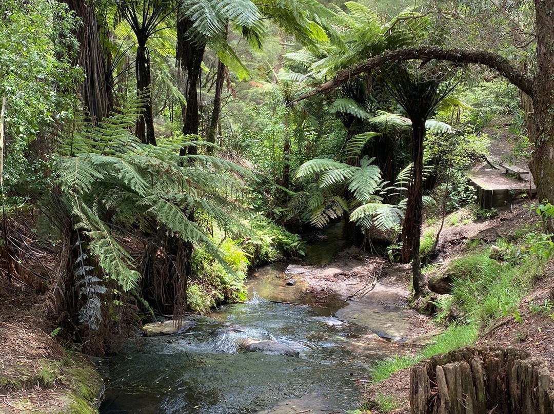 Johnson Reserve-陶兰加必去景点