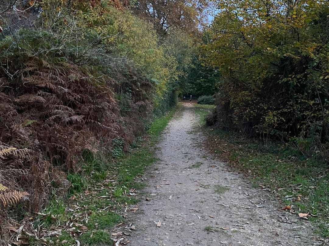Parc de Sallegourde景点图片