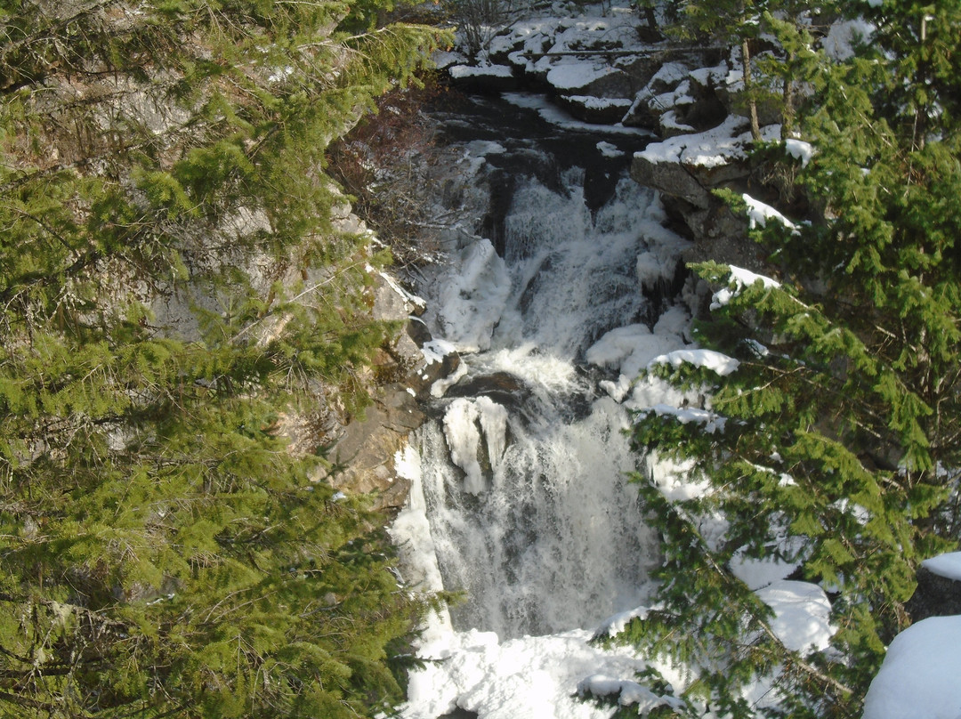 Colville National Forest景点图片