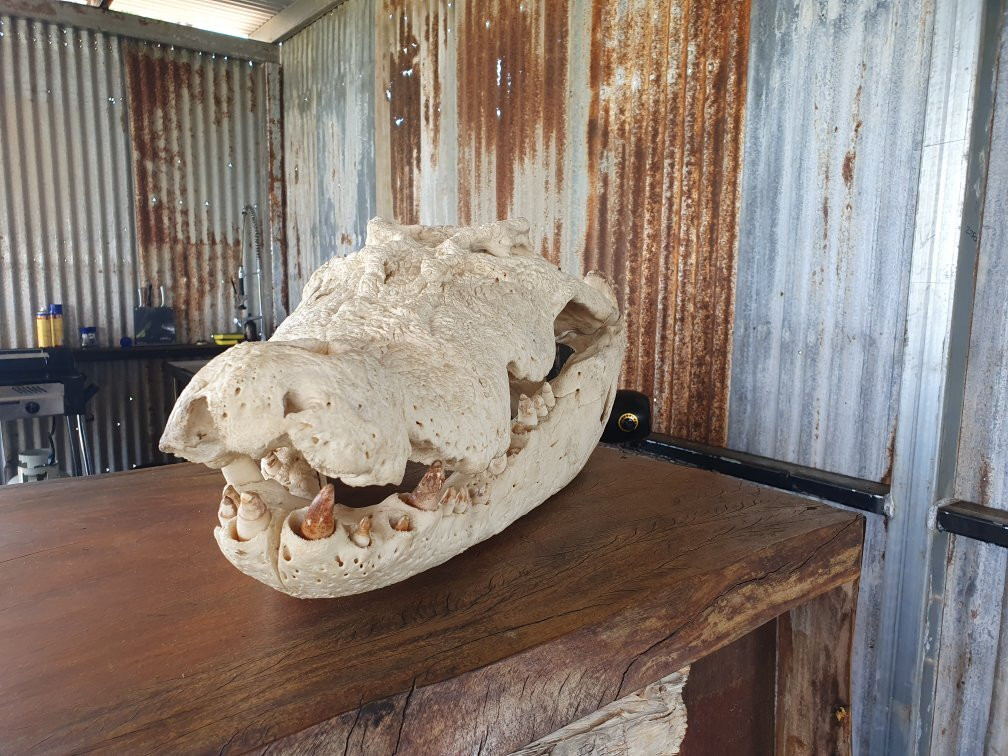 Top End Safari Camp-达尔文市必去景点