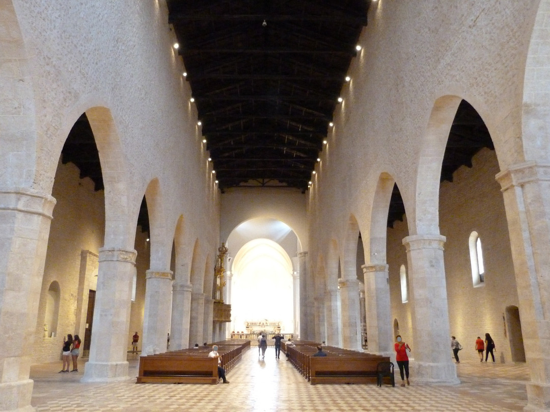 Basilica di Santa Maria di Collemaggio e Porta Santa景点图片