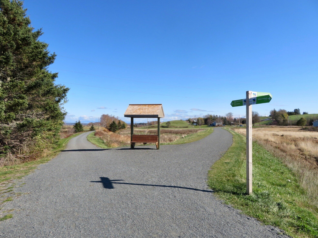 Cobequid Trail景点图片