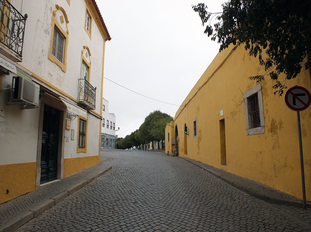Garcia de Orta - Alcamim Guesthouse主图