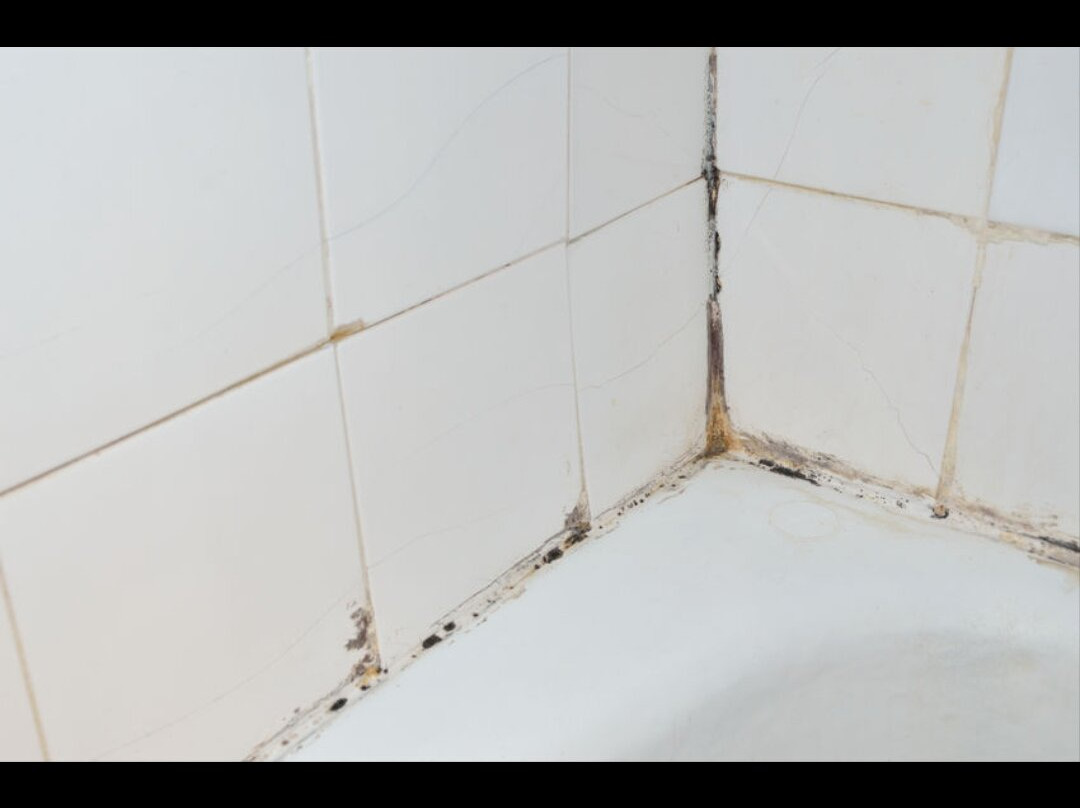 Comfort Inn & Suites Evansville Airport主图