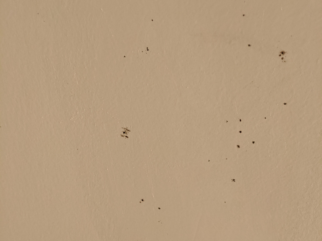 塔拉哈西中央希尔顿花园酒店主图