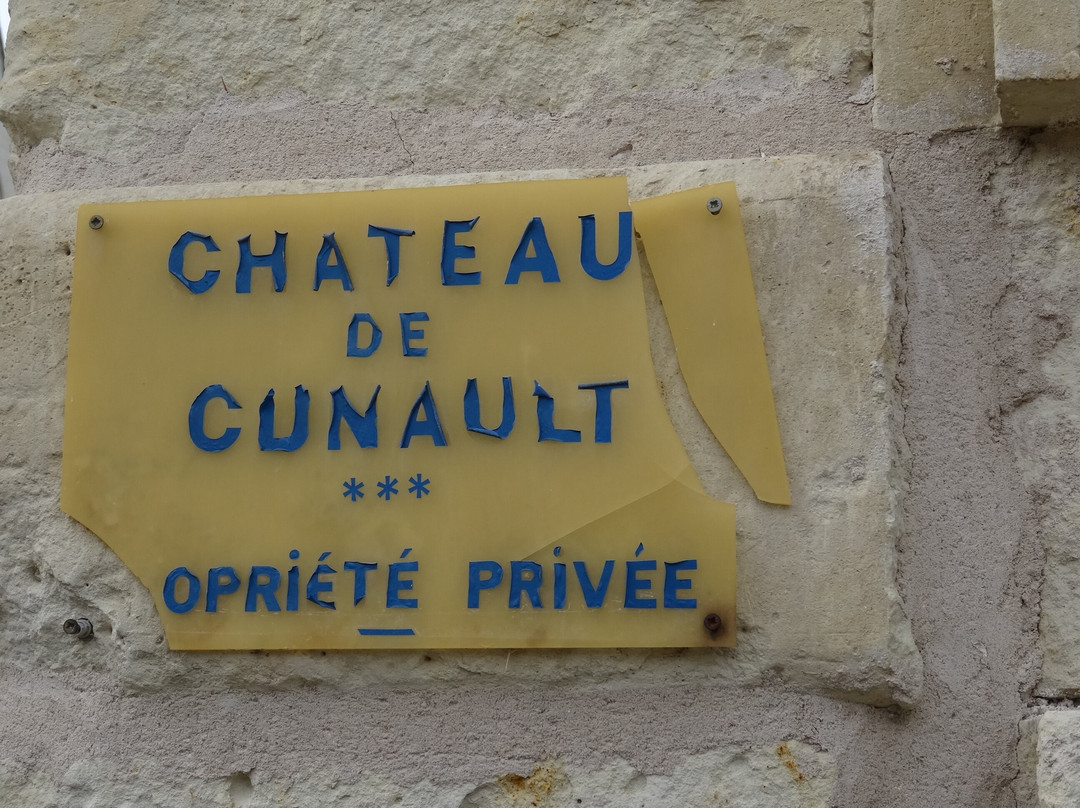 chapelle du château de Cunault景点图片