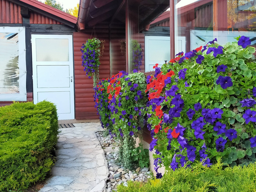 Guest house Oreskovic主图