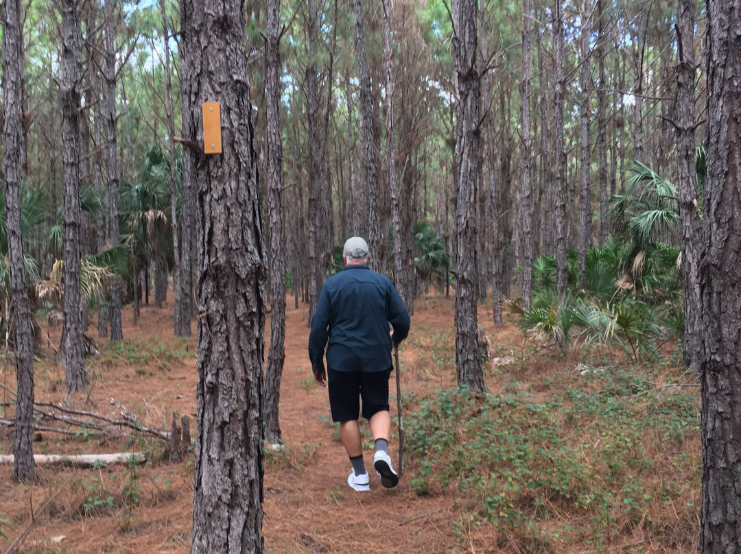 Myakka State Forest-恩格尔伍德必去景点