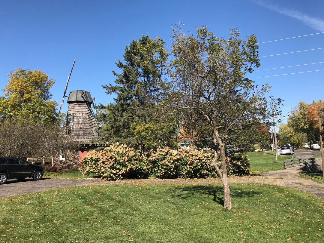 Windmill Park景点图片