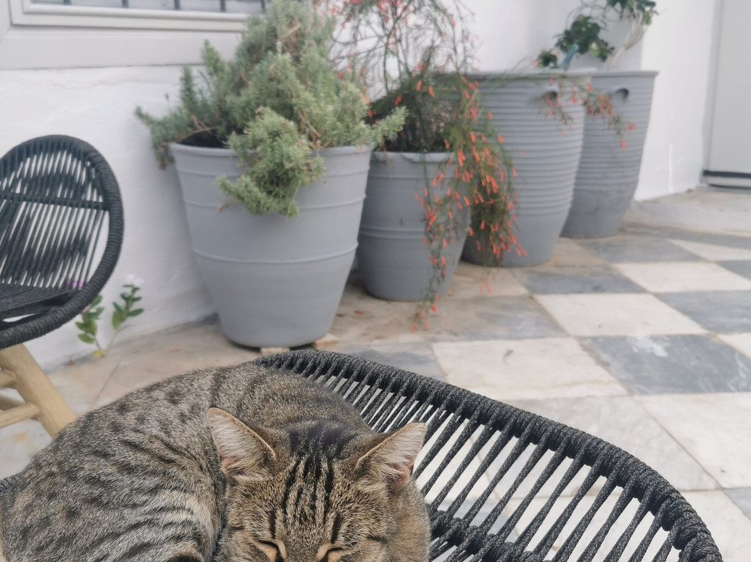 Hydra Icons Guest House主图