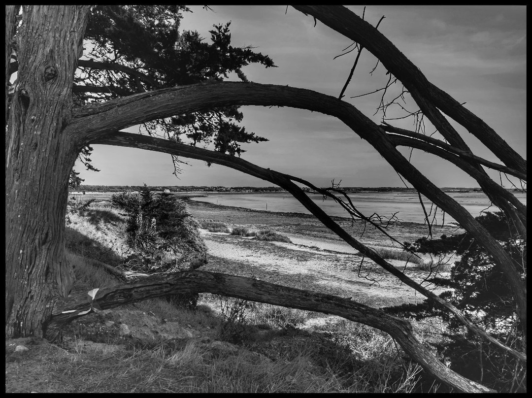 Presqu'ile de Pen Bron-La Turballe必去景点